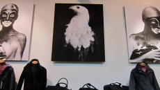 IMG_0600