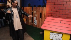 Dogghouse 2