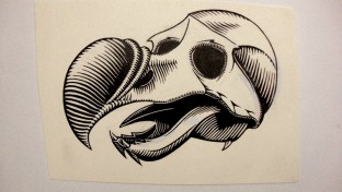 ART_dodobird