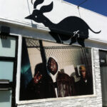 photo photo