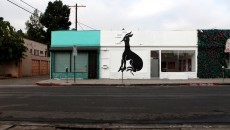edit-12-parra-img_0445