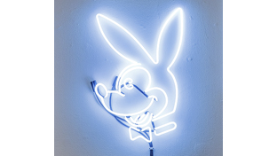 Hanni_El_Khatib_fancy_rabbit_neon_low_light_thumb