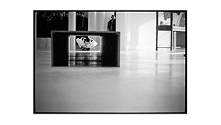 Skin_Phillips_tunnel_in_cologne_thumb