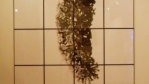 dscn0745