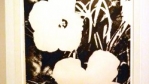 dscn0755