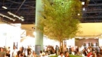 dscn0786