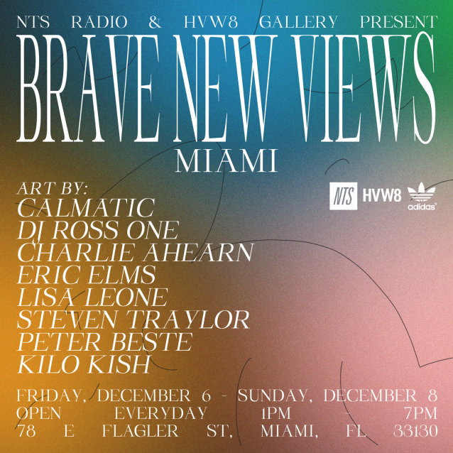 Brave New Views Miami